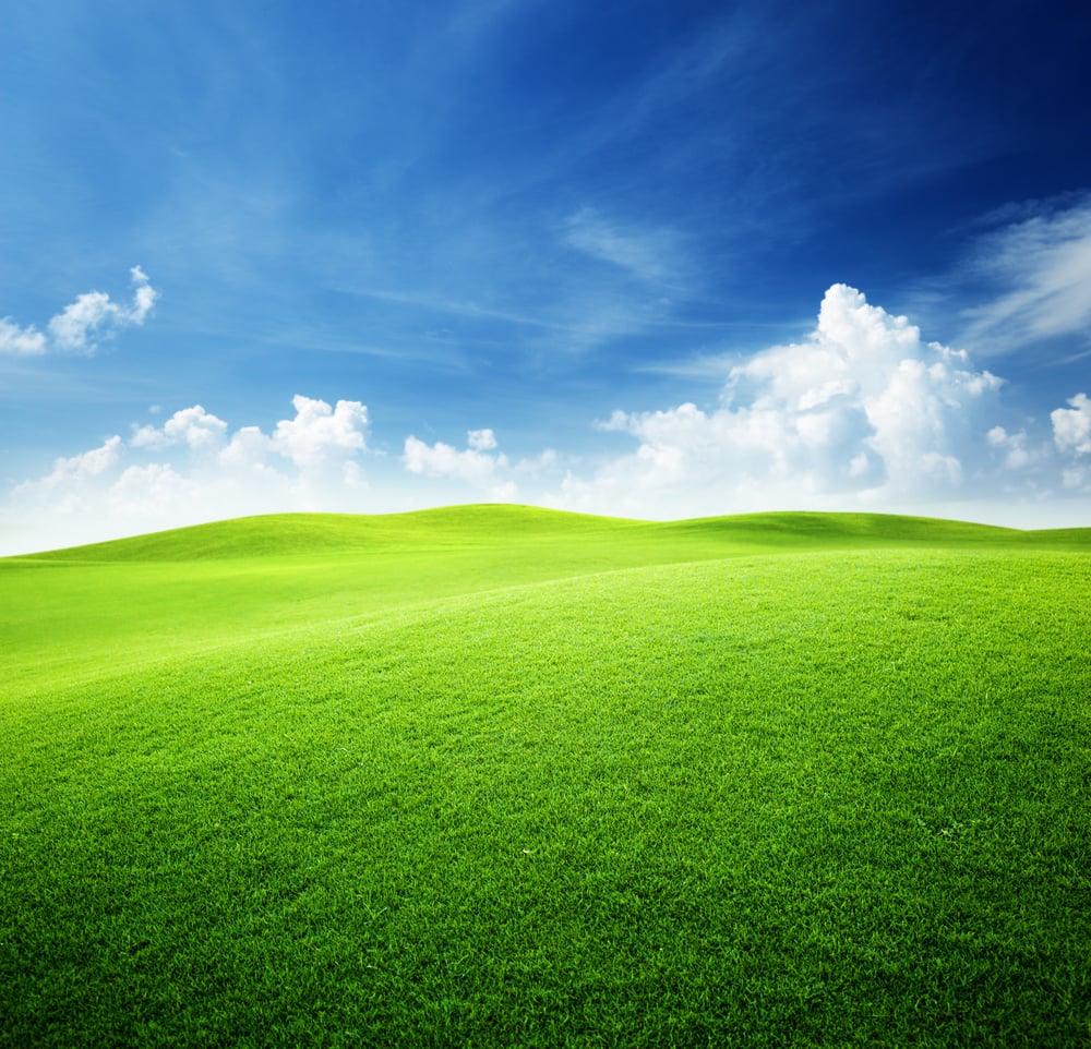 green field and blue sky